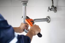 Best Residential Plumbing Services  in Odem, TX